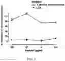 Fig. 05 - and/or antigen