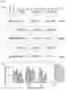 Fig. 17 - Amphipathic molecule based on tandem malonate and use thereof