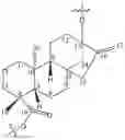 Fig. 01 - Diterpene Glycosides Isolated from Stevia, Compositions and Methods