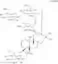 Fig. 21 - Diterpene Glycosides Isolated from Stevia, Compositions and Methods