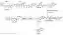 Fig. 01 - Liver-specific delivery-based anti-hepatitis C prodrug nucleoside cyclo-phosphate compound and uses thereof