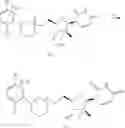 Fig. 10 - Liver-specific delivery-based anti-hepatitis C prodrug nucleoside cyclo-phosphate compound and uses thereof