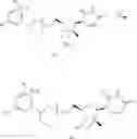 Fig. 11 - Liver-specific delivery-based anti-hepatitis C prodrug nucleoside cyclo-phosphate compound and uses thereof