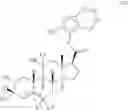 Fig. 195 - 19-NOR neuroactive steroids and methods of use thereof