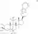 Fig. 22 - 19-NOR neuroactive steroids and methods of use thereof