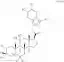Fig. 31 - 19-NOR neuroactive steroids and methods of use thereof