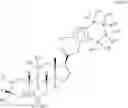 Fig. 43 - 19-NOR neuroactive steroids and methods of use thereof