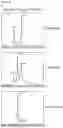 Fig. 07 - Production of heterodimeric proteins
