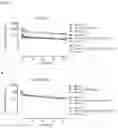 Fig. 10 - Production of heterodimeric proteins