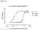Fig. 15 - Production of heterodimeric proteins