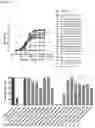 Fig. 16 - Production of heterodimeric proteins