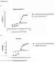 Fig. 22 - Production of heterodimeric proteins