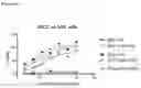 Fig. 26 - Production of heterodimeric proteins