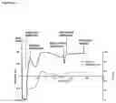 Fig. 57 - Production of heterodimeric proteins