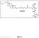 Fig. 04 - GLUTATHIONE-CHOLESTEROL DERIVATIVES AS BRAIN TARGETING AGENTS