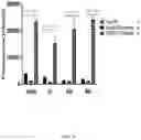 Fig. 11 - GLUTATHIONE-CHOLESTEROL DERIVATIVES AS BRAIN TARGETING AGENTS