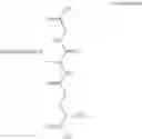 Fig. 32 - GLUTATHIONE-CHOLESTEROL DERIVATIVES AS BRAIN TARGETING AGENTS