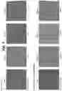 Fig. 15 - Prefusion PIV F immunogens and their use