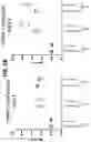 Fig. 31 - Prefusion PIV F immunogens and their use