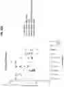 Fig. 35 - Prefusion PIV F immunogens and their use