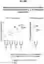 Fig. 37 - Prefusion PIV F immunogens and their use