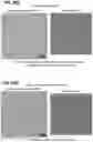 Fig. 48 - Prefusion PIV F immunogens and their use