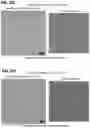 Fig. 49 - Prefusion PIV F immunogens and their use