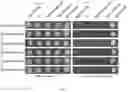 Fig. 04 - Protein of ‘dangshan suli’ having function of promoting growth of pollen tube, encoding gene PBRTTS1 and use thereof