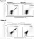 Fig. 22 - Peptides and combination of peptides for use in immunotherapy against small cell lung cancer and other cancers
