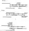 Fig. 03 - PANTIDS FOR TREATMENT OF AUTOIMMUNE DISORDERS