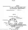 Fig. 04 - PANTIDS FOR TREATMENT OF AUTOIMMUNE DISORDERS