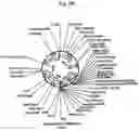 Fig. 46 - PANTIDS FOR TREATMENT OF AUTOIMMUNE DISORDERS