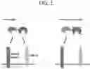 Fig. 02 - Tissue-specific Wnt signal enhancing molecules and uses thereof