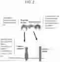 Fig. 03 - Tissue-specific Wnt signal enhancing molecules and uses thereof