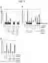 Fig. 07 - Tissue-specific Wnt signal enhancing molecules and uses thereof