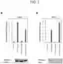 Fig. 08 - Tissue-specific Wnt signal enhancing molecules and uses thereof
