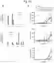 Fig. 20 - Tissue-specific Wnt signal enhancing molecules and uses thereof