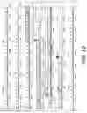 Fig. 05 - Recombinant factor VIII proteins
