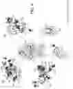 Fig. 13 - Recombinant factor VIII proteins
