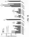 Fig. 22 - Recombinant factor VIII proteins