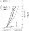 Fig. 26 - Recombinant factor VIII proteins
