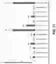 Fig. 30 - Recombinant factor VIII proteins