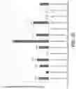 Fig. 31 - Recombinant factor VIII proteins
