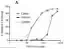 Fig. 01 - Antibody directed against clumping factor a (ClfA)