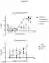 Fig. 07 - Antibody directed against clumping factor a (ClfA)