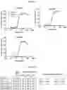 Fig. 08 - Antibody directed against clumping factor a (ClfA)