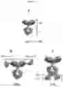 Fig. 15 - Antibody directed against clumping factor a (ClfA)
