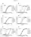 Fig. 17 - Antibody directed against clumping factor a (ClfA)