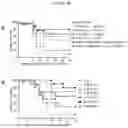 Fig. 19 - Antibody directed against clumping factor a (ClfA)