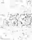 Fig. 11 - IMMUNOREGULATORY STRUCTURES FROM NORMALLY OCCURING PROTEINS